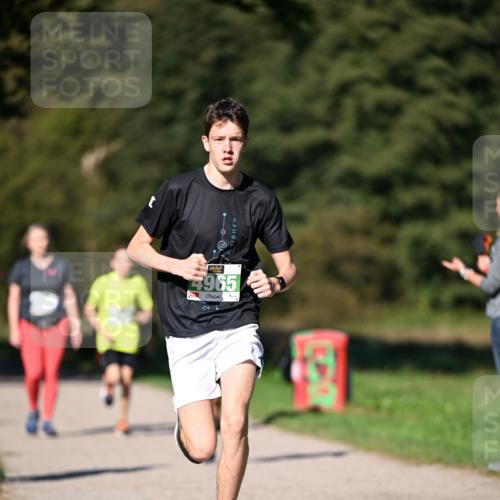 22.09.2024 - 32. Volkslauf durch das schöne Alstertal Dr. Thomas Lammeyer http://msf.ph/oto/7108972 22.09.2024 10:39:27 Laufen 4965 meine-sportfotos.de