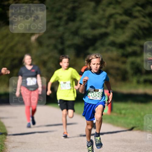 22.09.2024 - 32. Volkslauf durch das schöne Alstertal Dr. Thomas Lammeyer http://msf.ph/oto/7108986 22.09.2024 10:39:30 Laufen 4058 meine-sportfotos.de