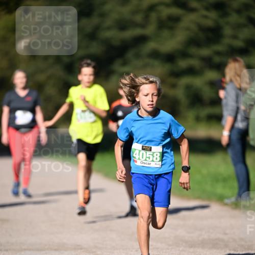 22.09.2024 - 32. Volkslauf durch das schöne Alstertal Dr. Thomas Lammeyer http://msf.ph/oto/7108990 22.09.2024 10:39:30 Laufen 4058 meine-sportfotos.de