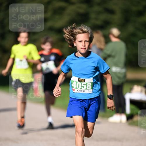 22.09.2024 - 32. Volkslauf durch das schöne Alstertal Dr. Thomas Lammeyer http://msf.ph/oto/7108995 22.09.2024 10:39:31 Laufen 4058 meine-sportfotos.de