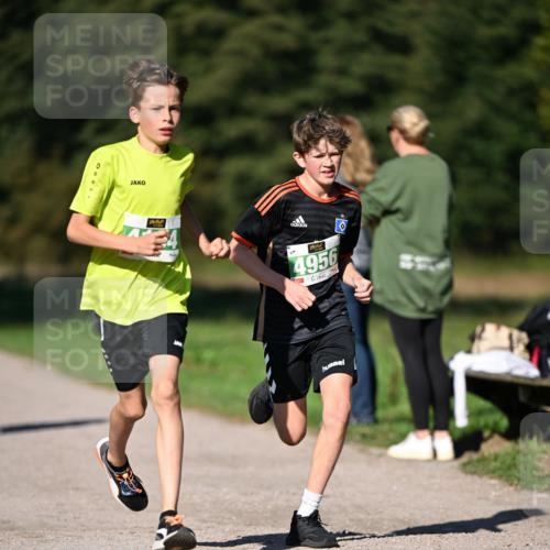 22.09.2024 - 32. Volkslauf durch das schöne Alstertal Dr. Thomas Lammeyer http://msf.ph/oto/7109001 22.09.2024 10:39:32 Laufen 4956, 4 meine-sportfotos.de