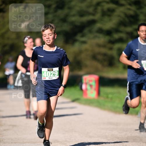 22.09.2024 - 32. Volkslauf durch das schöne Alstertal Dr. Thomas Lammeyer http://msf.ph/oto/7109037 22.09.2024 10:39:46 Laufen 10, 4029 meine-sportfotos.de