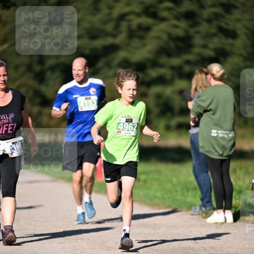 22.09.2024 - 32. Volkslauf durch das schöne Alstertal Dr. Thomas Lammeyer http://msf.ph/oto/7109048 22.09.2024 10:39:49 Laufen 4153, 399, 4962, 3337 meine-sportfotos.de
