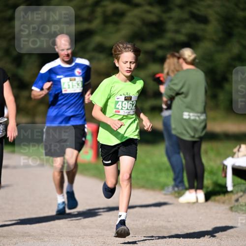 22.09.2024 - 32. Volkslauf durch das schöne Alstertal Dr. Thomas Lammeyer http://msf.ph/oto/7109053 22.09.2024 10:39:49 Laufen 4153, 4962 meine-sportfotos.de