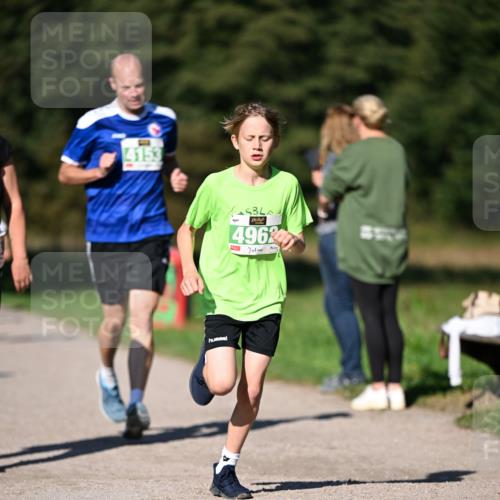 22.09.2024 - 32. Volkslauf durch das schöne Alstertal Dr. Thomas Lammeyer http://msf.ph/oto/7109054 22.09.2024 10:39:50 Laufen 4153, 5, 44, 4962 meine-sportfotos.de