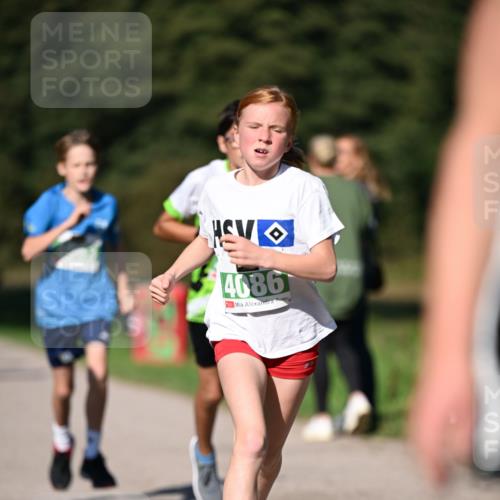 22.09.2024 - 32. Volkslauf durch das schöne Alstertal Dr. Thomas Lammeyer http://msf.ph/oto/7109075 22.09.2024 10:39:57 Laufen 4086 meine-sportfotos.de