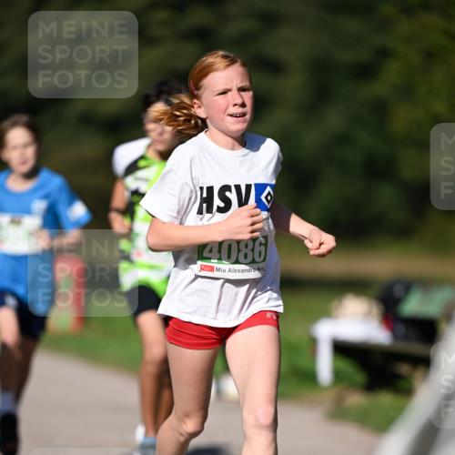 22.09.2024 - 32. Volkslauf durch das schöne Alstertal Dr. Thomas Lammeyer http://msf.ph/oto/7109077 22.09.2024 10:39:58 Laufen 4086 meine-sportfotos.de