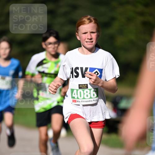 22.09.2024 - 32. Volkslauf durch das schöne Alstertal Dr. Thomas Lammeyer http://msf.ph/oto/7109079 22.09.2024 10:39:58 Laufen 4086 meine-sportfotos.de