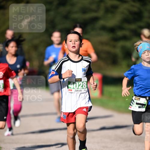 22.09.2024 - 32. Volkslauf durch das schöne Alstertal Dr. Thomas Lammeyer http://msf.ph/oto/7109129 22.09.2024 10:40:13 Laufen 4028 meine-sportfotos.de