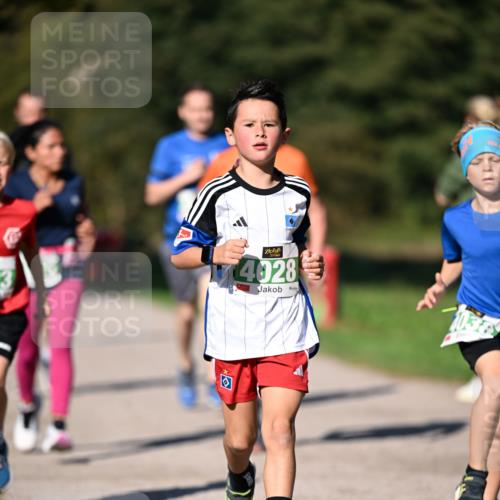 22.09.2024 - 32. Volkslauf durch das schöne Alstertal Dr. Thomas Lammeyer http://msf.ph/oto/7109130 22.09.2024 10:40:13 Laufen 4028 meine-sportfotos.de