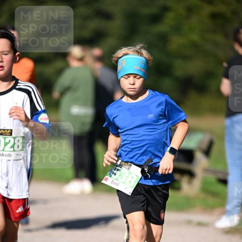 22.09.2024 - 32. Volkslauf durch das schöne Alstertal Dr. Thomas Lammeyer http://msf.ph/oto/7109133 22.09.2024 10:40:14 Laufen 028, 538 meine-sportfotos.de