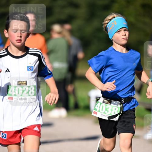 22.09.2024 - 32. Volkslauf durch das schöne Alstertal Dr. Thomas Lammeyer http://msf.ph/oto/7109135 22.09.2024 10:40:14 Laufen 4028, 4, 4038 meine-sportfotos.de