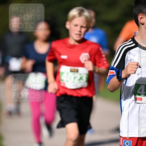 22.09.2024 - 32. Volkslauf durch das schöne Alstertal Dr. Thomas Lammeyer http://msf.ph/oto/7109137 22.09.2024 10:40:15 Laufen 4023, 4 meine-sportfotos.de