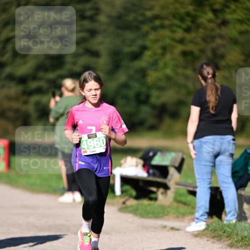 22.09.2024 - 32. Volkslauf durch das schöne Alstertal Dr. Thomas Lammeyer http://msf.ph/oto/7109144 22.09.2024 10:40:20 Laufen 4960 meine-sportfotos.de