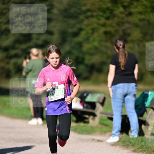 22.09.2024 - 32. Volkslauf durch das schöne Alstertal Dr. Thomas Lammeyer http://msf.ph/oto/7109146 22.09.2024 10:40:20 Laufen 4960 meine-sportfotos.de