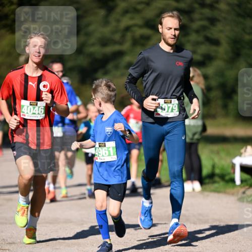 22.09.2024 - 32. Volkslauf durch das schöne Alstertal Dr. Thomas Lammeyer http://msf.ph/oto/7109168 22.09.2024 10:40:25 Laufen 4046, 4961, 079 meine-sportfotos.de