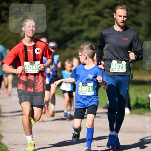 22.09.2024 - 32. Volkslauf durch das schöne Alstertal Dr. Thomas Lammeyer http://msf.ph/oto/7109170 22.09.2024 10:40:26 Laufen 4046, 4961, 4079 meine-sportfotos.de