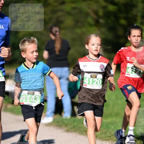 22.09.2024 - 32. Volkslauf durch das schöne Alstertal Dr. Thomas Lammeyer http://msf.ph/oto/7109189 22.09.2024 10:40:29 Laufen 4143, 4120 meine-sportfotos.de