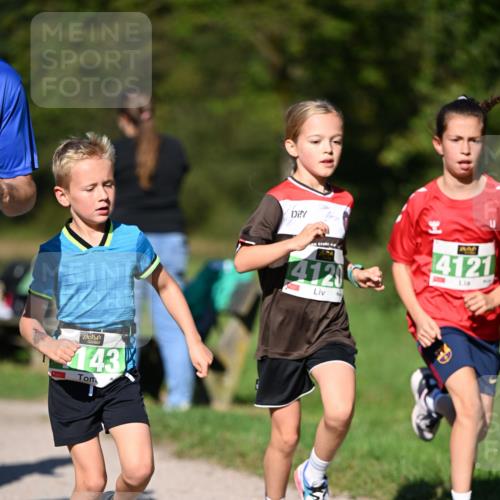 22.09.2024 - 32. Volkslauf durch das schöne Alstertal Dr. Thomas Lammeyer http://msf.ph/oto/7109190 22.09.2024 10:40:30 Laufen 143, 4120, 4121 meine-sportfotos.de