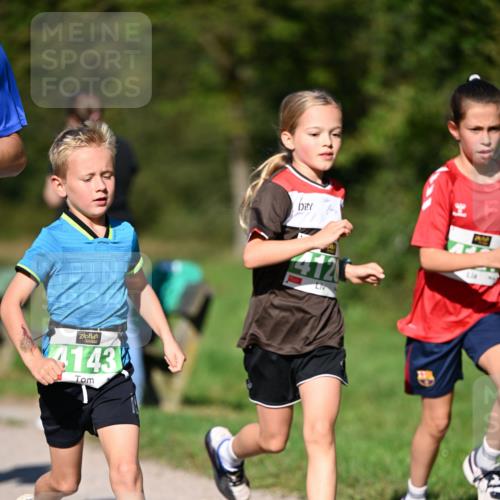 22.09.2024 - 32. Volkslauf durch das schöne Alstertal Dr. Thomas Lammeyer http://msf.ph/oto/7109191 22.09.2024 10:40:30 Laufen 4143 meine-sportfotos.de