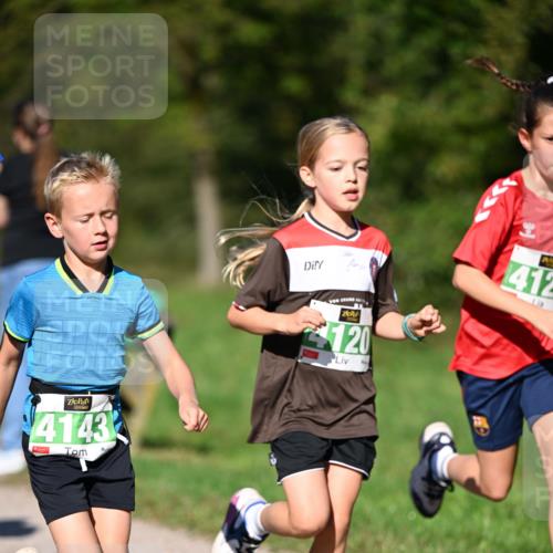 22.09.2024 - 32. Volkslauf durch das schöne Alstertal Dr. Thomas Lammeyer http://msf.ph/oto/7109192 22.09.2024 10:40:30 Laufen 4143, 120, 412 meine-sportfotos.de