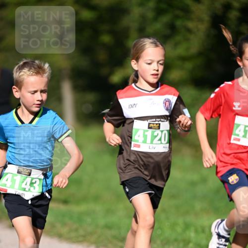 22.09.2024 - 32. Volkslauf durch das schöne Alstertal Dr. Thomas Lammeyer http://msf.ph/oto/7109193 22.09.2024 10:40:30 Laufen 4143, 4120, 41 meine-sportfotos.de