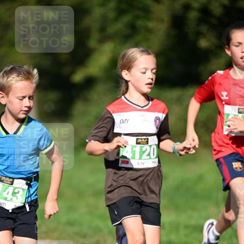 22.09.2024 - 32. Volkslauf durch das schöne Alstertal Dr. Thomas Lammeyer http://msf.ph/oto/7109194 22.09.2024 10:40:30 Laufen 143, 14120 meine-sportfotos.de