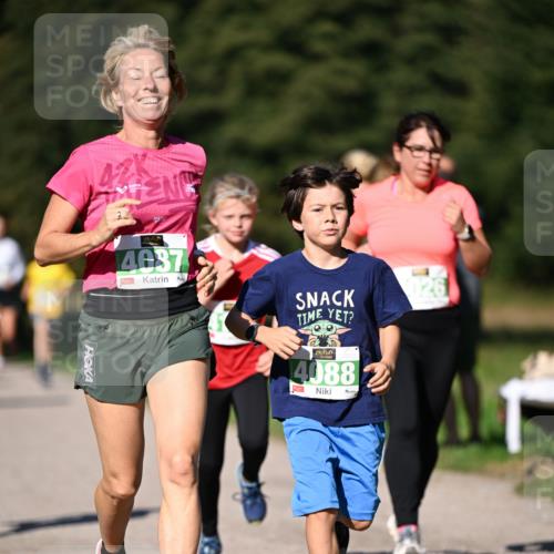 22.09.2024 - 32. Volkslauf durch das schöne Alstertal Dr. Thomas Lammeyer http://msf.ph/oto/7109208 22.09.2024 10:40:34 Laufen 42, 4037, 4088 meine-sportfotos.de