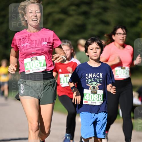 22.09.2024 - 32. Volkslauf durch das schöne Alstertal Dr. Thomas Lammeyer http://msf.ph/oto/7109211 22.09.2024 10:40:35 Laufen 4087, 410, 4088 meine-sportfotos.de