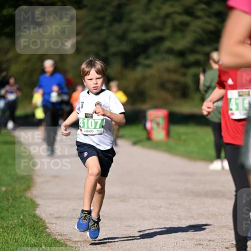 22.09.2024 - 32. Volkslauf durch das schöne Alstertal Dr. Thomas Lammeyer http://msf.ph/oto/7109214 22.09.2024 10:40:36 Laufen 4107, 410 meine-sportfotos.de