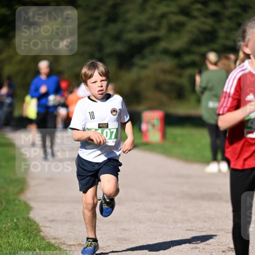 22.09.2024 - 32. Volkslauf durch das schöne Alstertal Dr. Thomas Lammeyer http://msf.ph/oto/7109216 22.09.2024 10:40:36 Laufen 10, 07 meine-sportfotos.de