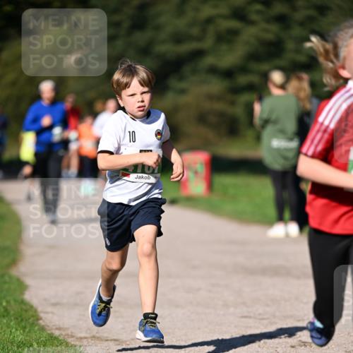 22.09.2024 - 32. Volkslauf durch das schöne Alstertal Dr. Thomas Lammeyer http://msf.ph/oto/7109217 22.09.2024 10:40:37 Laufen 10 meine-sportfotos.de