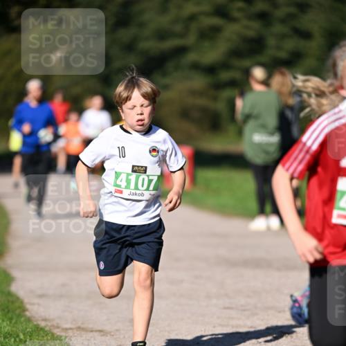 22.09.2024 - 32. Volkslauf durch das schöne Alstertal Dr. Thomas Lammeyer http://msf.ph/oto/7109218 22.09.2024 10:40:37 Laufen 10, 4107 meine-sportfotos.de