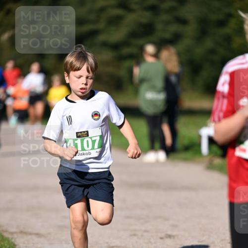22.09.2024 - 32. Volkslauf durch das schöne Alstertal Dr. Thomas Lammeyer http://msf.ph/oto/7109221 22.09.2024 10:40:37 Laufen 10, 4107 meine-sportfotos.de