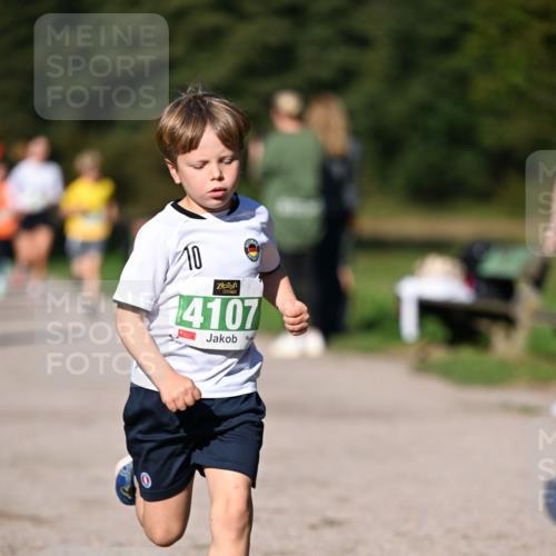 22.09.2024 - 32. Volkslauf durch das schöne Alstertal Dr. Thomas Lammeyer http://msf.ph/oto/7109223 22.09.2024 10:40:37 Laufen 10, 14107 meine-sportfotos.de