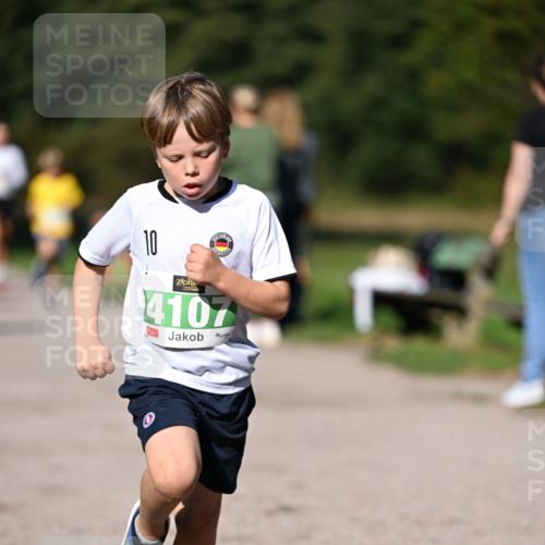 22.09.2024 - 32. Volkslauf durch das schöne Alstertal Dr. Thomas Lammeyer http://msf.ph/oto/7109224 22.09.2024 10:40:37 Laufen 10, 4107 meine-sportfotos.de