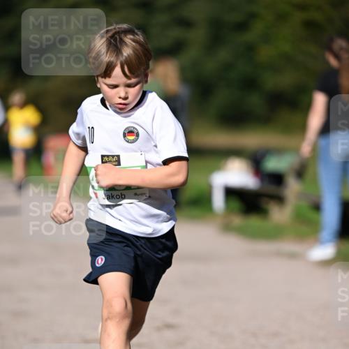 22.09.2024 - 32. Volkslauf durch das schöne Alstertal Dr. Thomas Lammeyer http://msf.ph/oto/7109225 22.09.2024 10:40:38 Laufen  meine-sportfotos.de