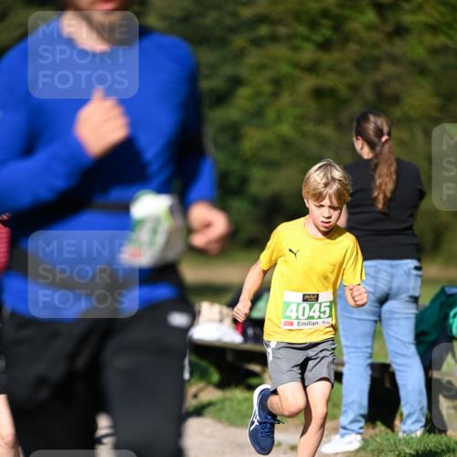 22.09.2024 - 32. Volkslauf durch das schöne Alstertal Dr. Thomas Lammeyer http://msf.ph/oto/7109234 22.09.2024 10:40:43 Laufen 2, 4045 meine-sportfotos.de