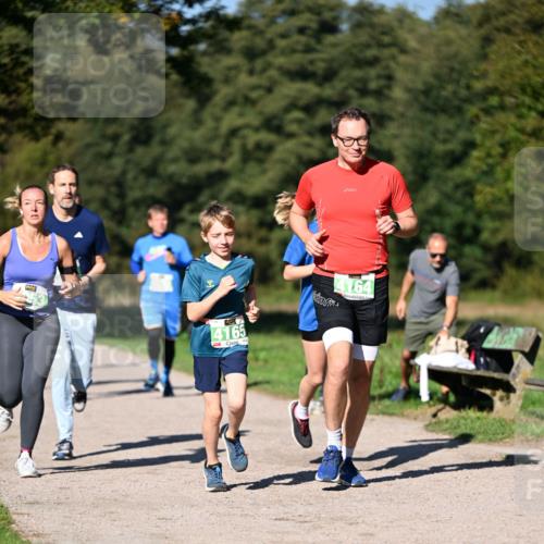22.09.2024 - 32. Volkslauf durch das schöne Alstertal Dr. Thomas Lammeyer http://msf.ph/oto/7109249 22.09.2024 10:40:47 Laufen 4165, 4164 meine-sportfotos.de