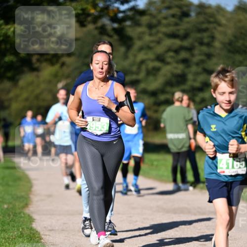 22.09.2024 - 32. Volkslauf durch das schöne Alstertal Dr. Thomas Lammeyer http://msf.ph/oto/7109260 22.09.2024 10:40:49 Laufen 1953, 4165 meine-sportfotos.de