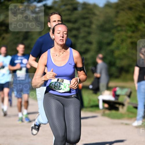 22.09.2024 - 32. Volkslauf durch das schöne Alstertal Dr. Thomas Lammeyer http://msf.ph/oto/7109267 22.09.2024 10:40:50 Laufen 4953 meine-sportfotos.de