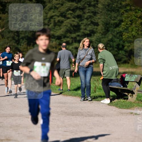 22.09.2024 - 32. Volkslauf durch das schöne Alstertal Dr. Thomas Lammeyer http://msf.ph/oto/7109290 22.09.2024 10:40:55 Laufen 4066, 4150, 9, 48, 4, 33, 37, 117 meine-sportfotos.de