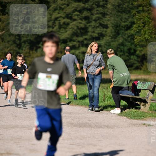 22.09.2024 - 32. Volkslauf durch das schöne Alstertal Dr. Thomas Lammeyer http://msf.ph/oto/7109291 22.09.2024 10:40:56 Laufen 066, 48, 4150, 33, 37, 117 meine-sportfotos.de