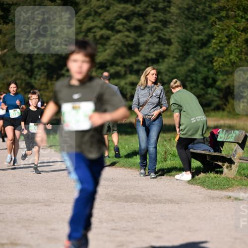 22.09.2024 - 32. Volkslauf durch das schöne Alstertal Dr. Thomas Lammeyer http://msf.ph/oto/7109292 22.09.2024 10:40:56 Laufen 157, 406, 48, 4150, 9, 33, 37, 117 meine-sportfotos.de