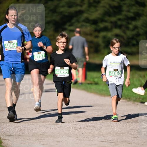 22.09.2024 - 32. Volkslauf durch das schöne Alstertal Dr. Thomas Lammeyer http://msf.ph/oto/7109301 22.09.2024 10:40:59 Laufen 4064, 4157, 4066, 4065 meine-sportfotos.de