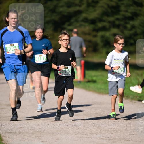 22.09.2024 - 32. Volkslauf durch das schöne Alstertal Dr. Thomas Lammeyer http://msf.ph/oto/7109302 22.09.2024 10:40:59 Laufen 4064, 4157, 4066, 65 meine-sportfotos.de