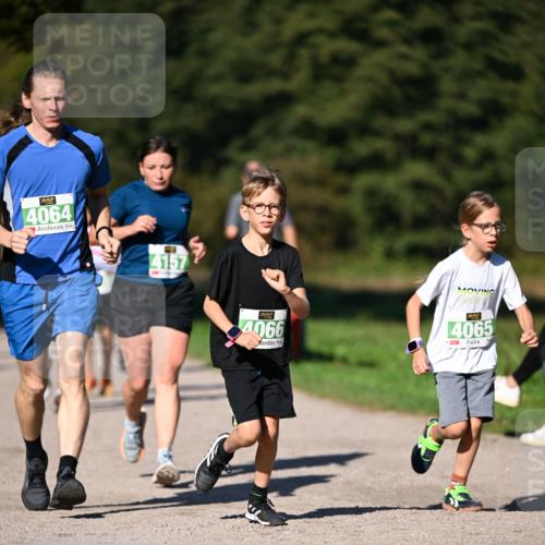 22.09.2024 - 32. Volkslauf durch das schöne Alstertal Dr. Thomas Lammeyer http://msf.ph/oto/7109304 22.09.2024 10:40:59 Laufen 4064, 4157, 4066, 4065 meine-sportfotos.de