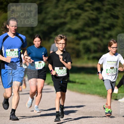 22.09.2024 - 32. Volkslauf durch das schöne Alstertal Dr. Thomas Lammeyer http://msf.ph/oto/7109305 22.09.2024 10:40:59 Laufen 4064, 4157, 4066, 4065 meine-sportfotos.de