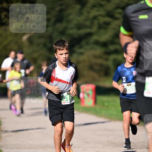 22.09.2024 - 32. Volkslauf durch das schöne Alstertal Dr. Thomas Lammeyer http://msf.ph/oto/7109319 22.09.2024 10:41:05 Laufen 416, 008 meine-sportfotos.de