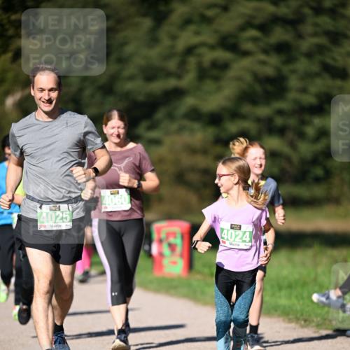22.09.2024 - 32. Volkslauf durch das schöne Alstertal Dr. Thomas Lammeyer http://msf.ph/oto/7109530 22.09.2024 10:41:55 Laufen 4025, 4060, 530, 72, 4024 meine-sportfotos.de